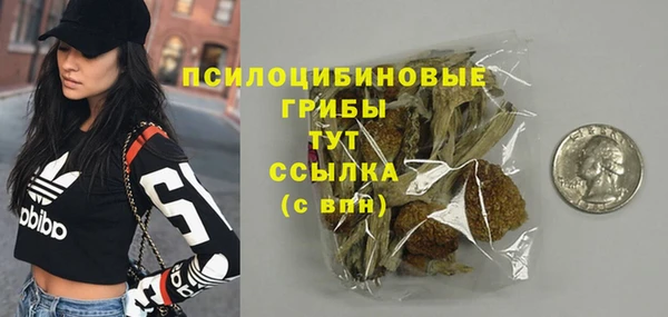spice Арсеньев
