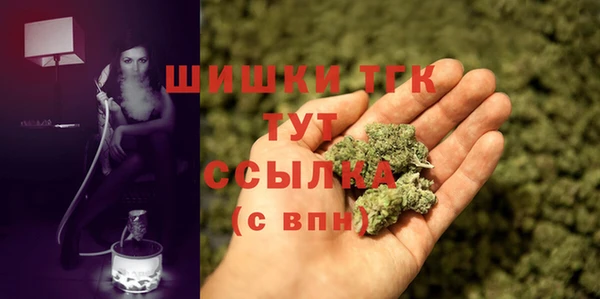 spice Арсеньев