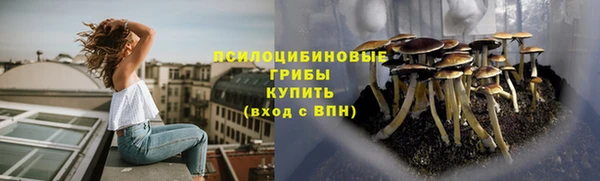 прущие крисы Аркадак