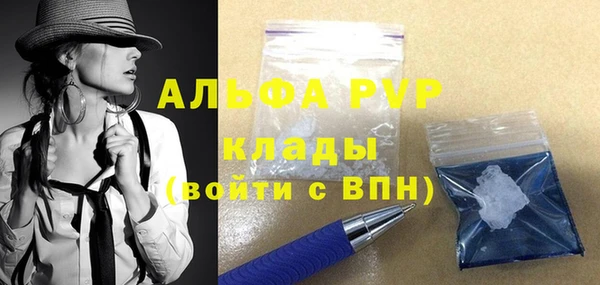 шишки Новозыбков