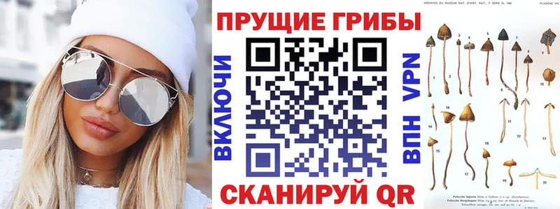 Галлюциногенные грибы Psilocybine cubensis  сайты даркнета формула  Инсар  наркошоп 
